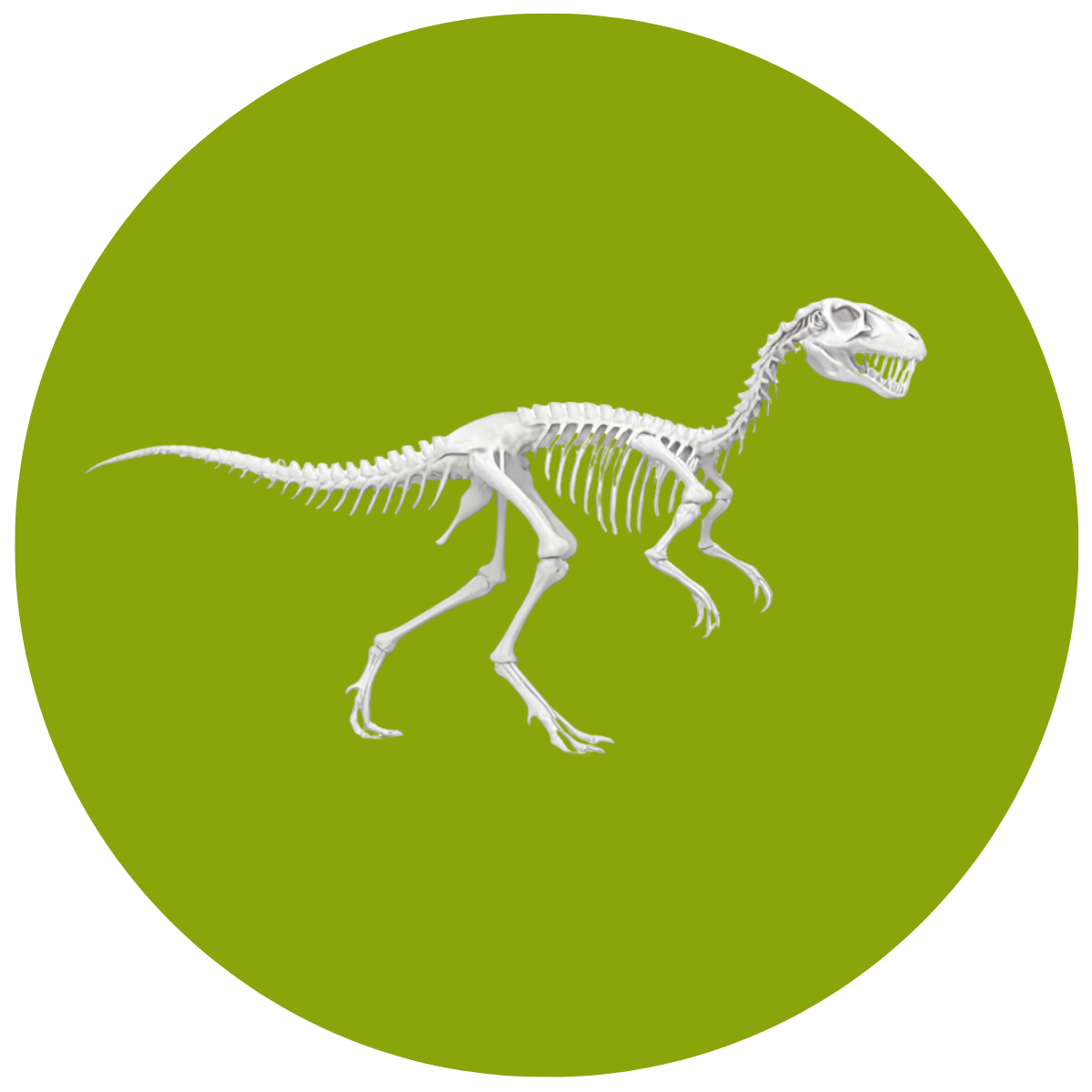 A Skeleton of this dinosaur