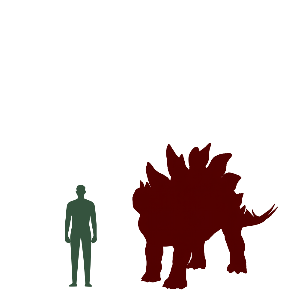 Size Comparison of Dino to a human