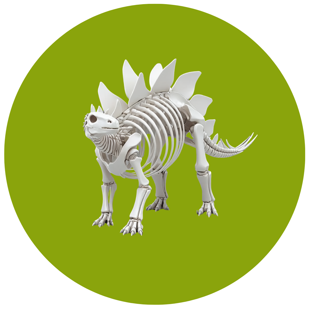 A Skeleton of this dinosaur