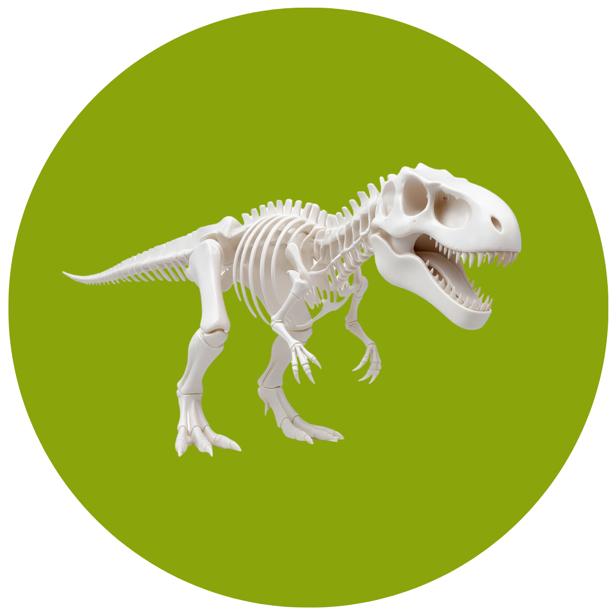 A Skeleton of this dinosaur