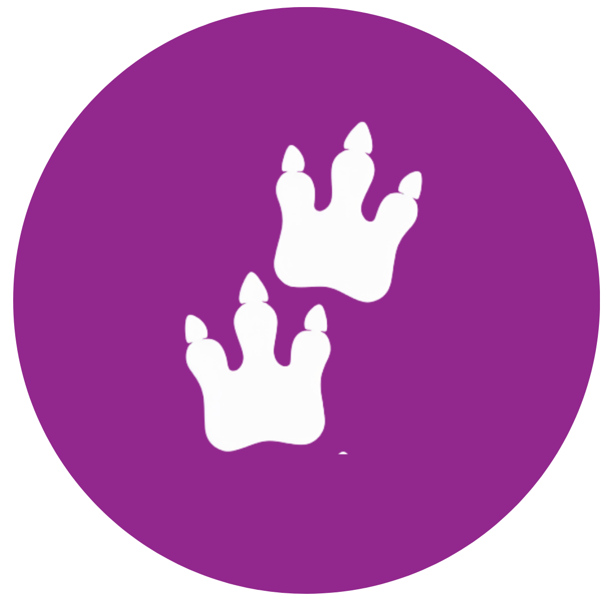 The footprints of this dinosaur