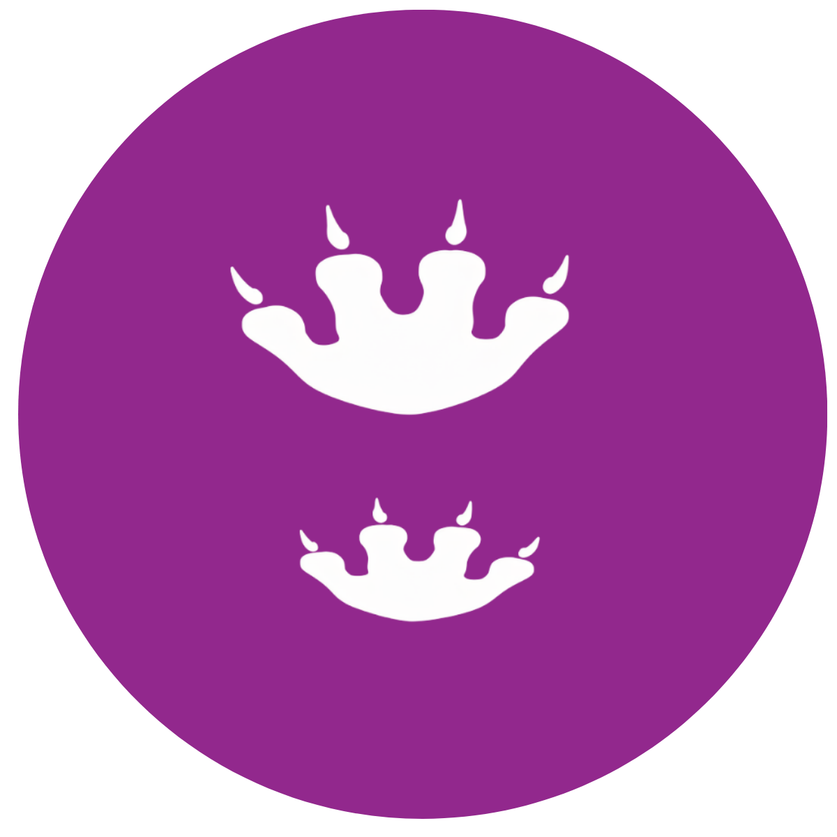 The footprints of this dinosaur