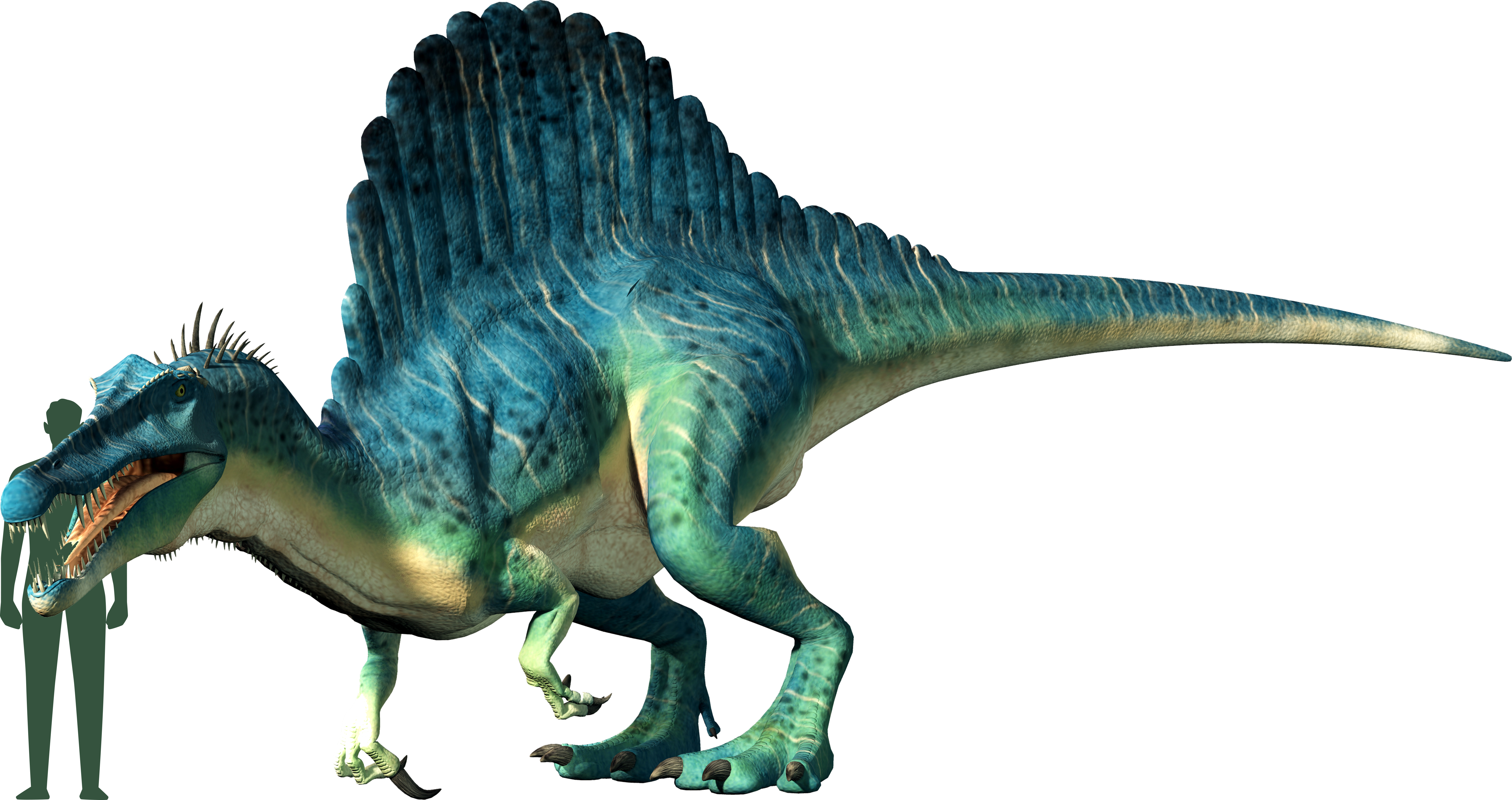 Size Comparison of Dino to a human